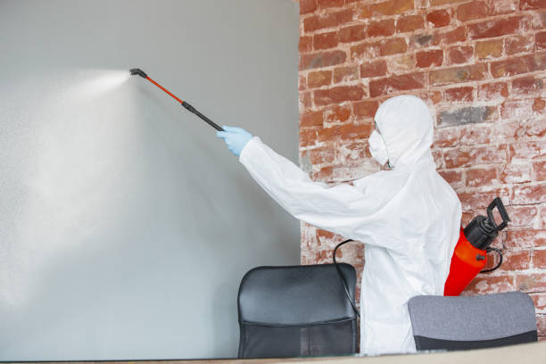 Best Industrial Mold Remediation  in Tularosa, NM