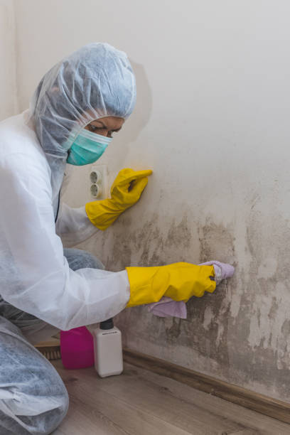 Dehumidification Services in Tularosa, NM