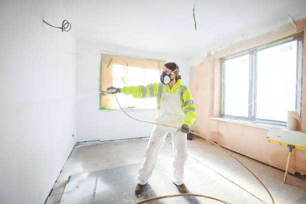 Trusted Tularosa, NM Mold Removal Experts