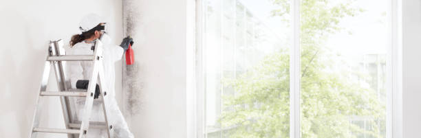 Best Dehumidification Services  in Tularosa, NM