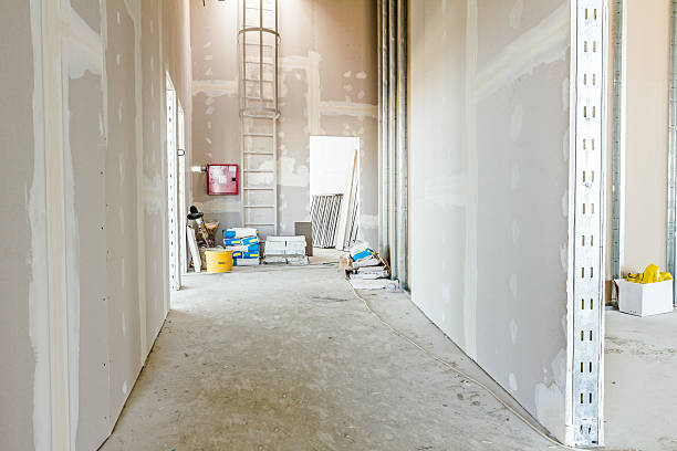 Best Emergency Mold Remediation  in Tularosa, NM